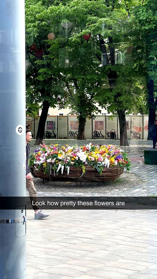 mira.0004 image ~ Altpins