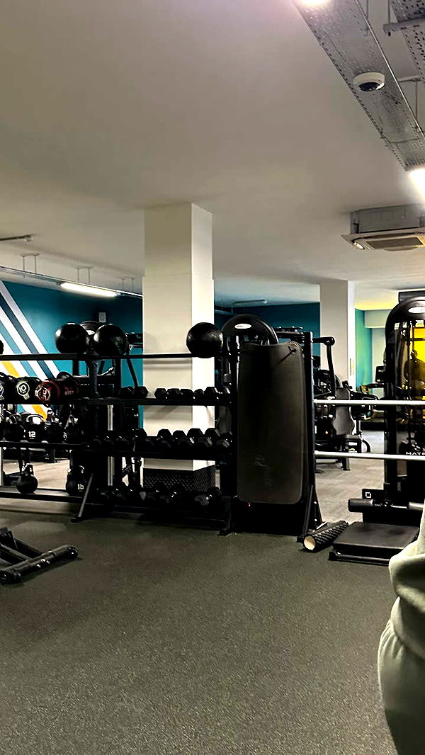 mira.0004 image ~ Altpins