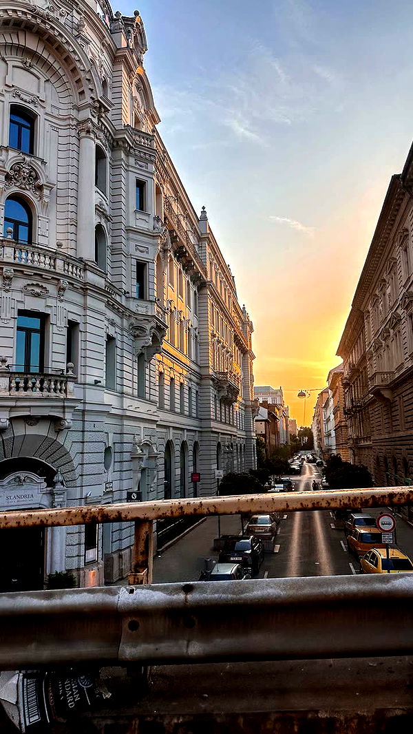 mira.0004 image ~ Altpins