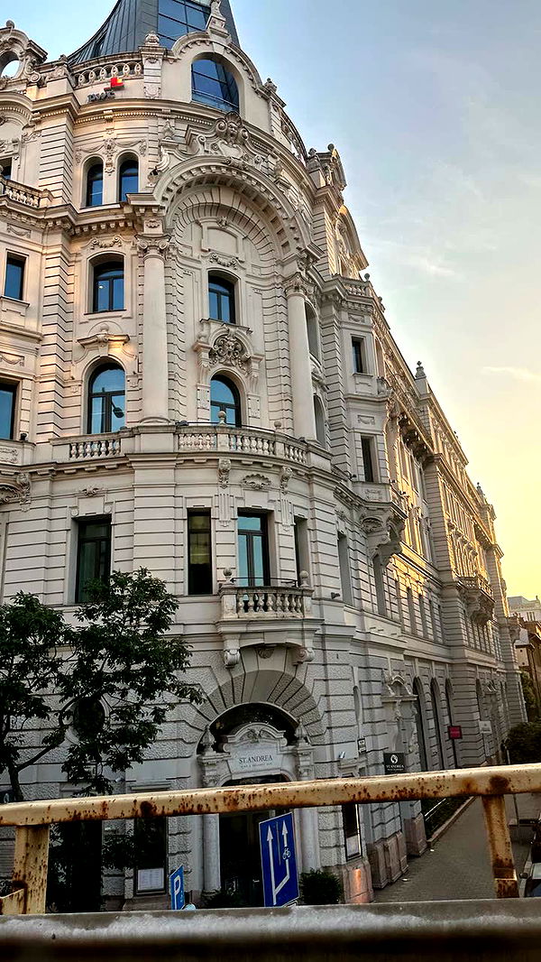 mira.0004 image ~ Altpins