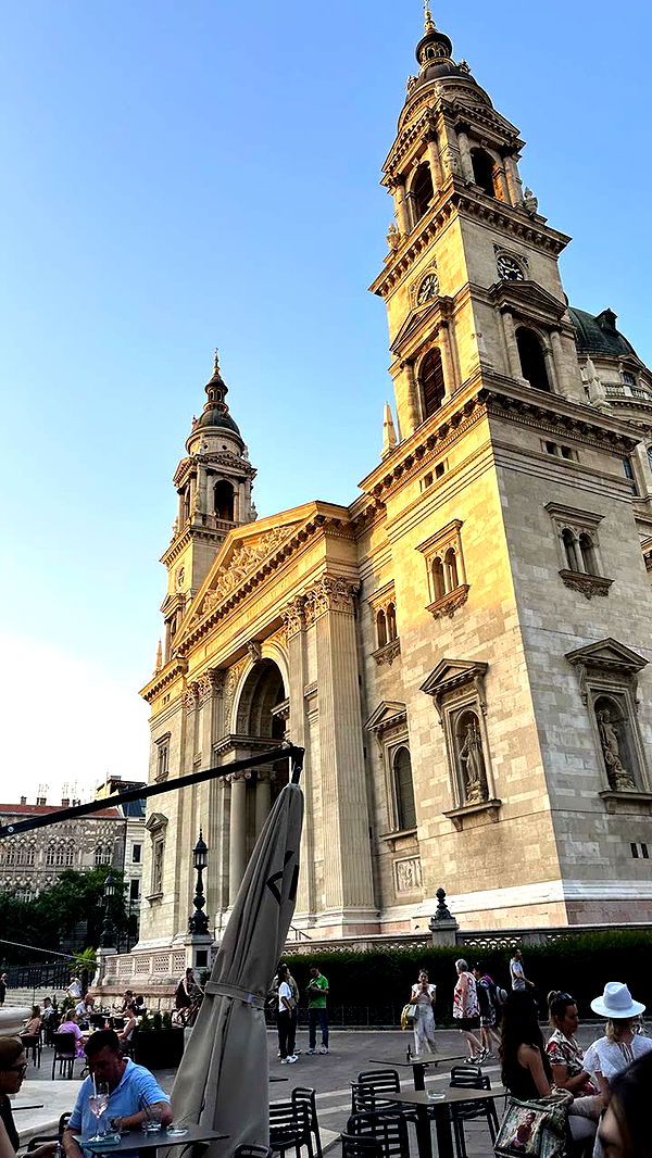 mira.0004 image ~ Altpins