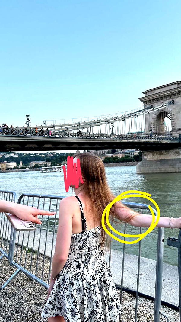 mira.0004 image ~ Altpins