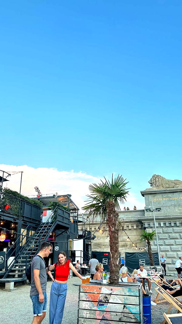 mira.0004 image ~ Altpins