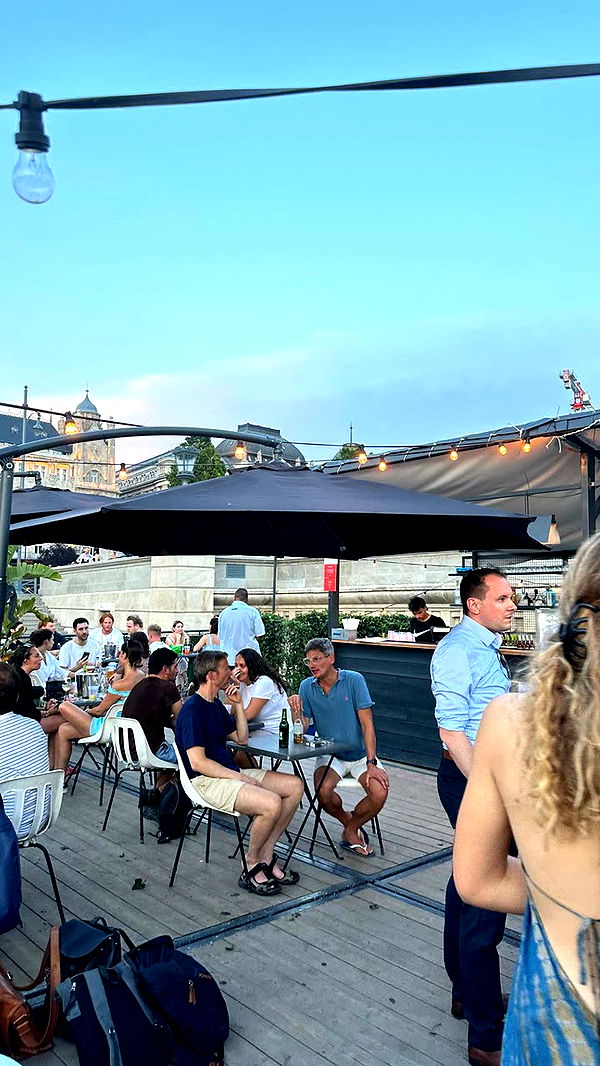 mira.0004 image ~ Altpins