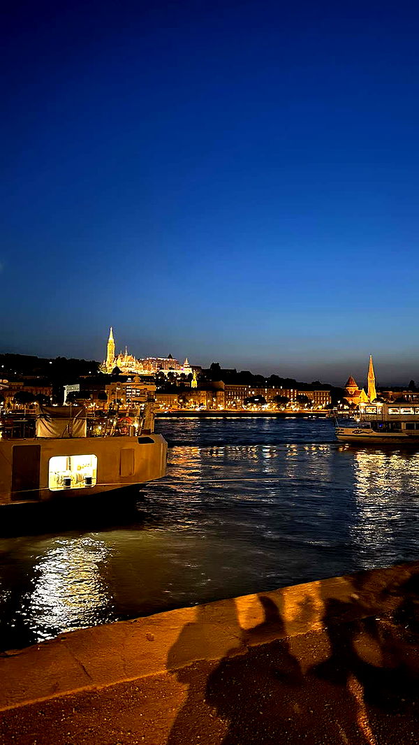 mira.0004 image ~ Altpins