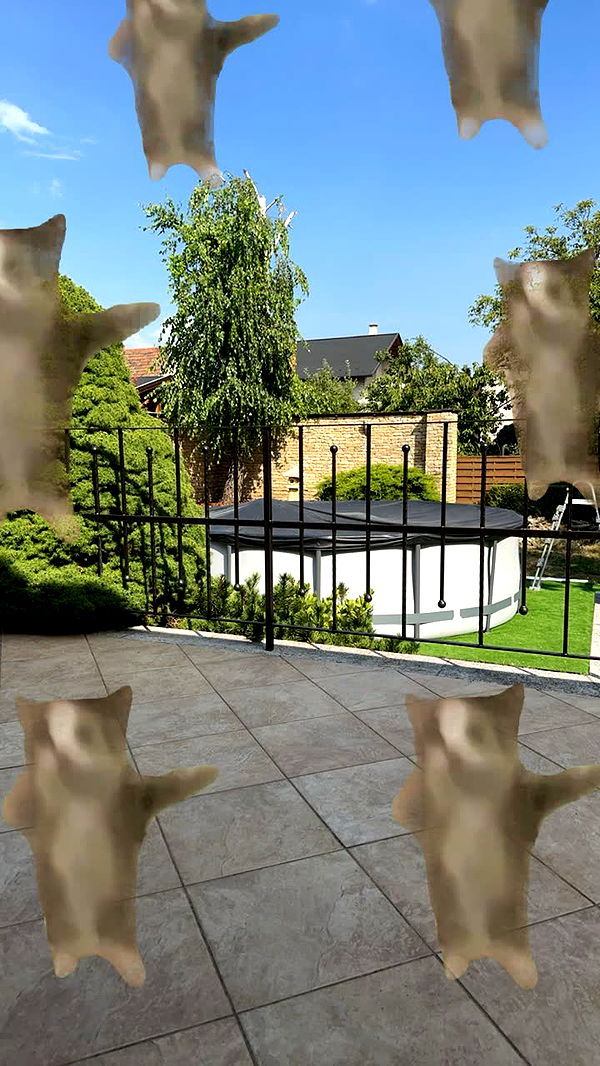 mira.0004 image ~ Altpins