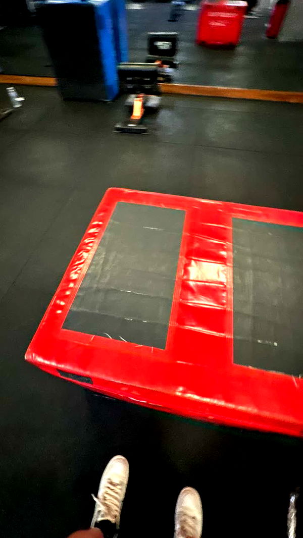 mira.0004 image ~ Altpins