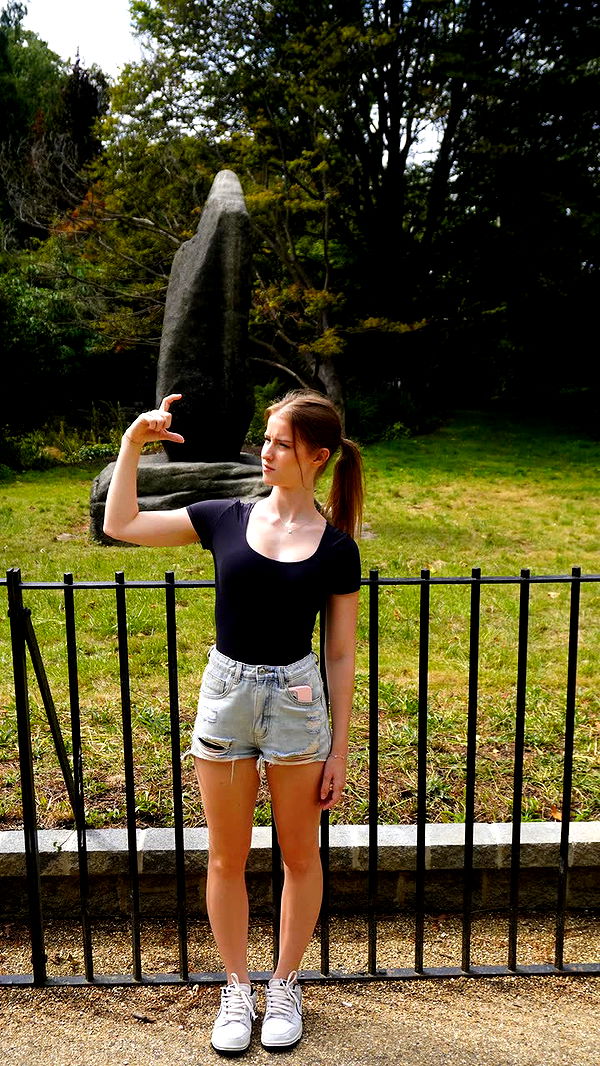 mira.0004 image ~ Altpins