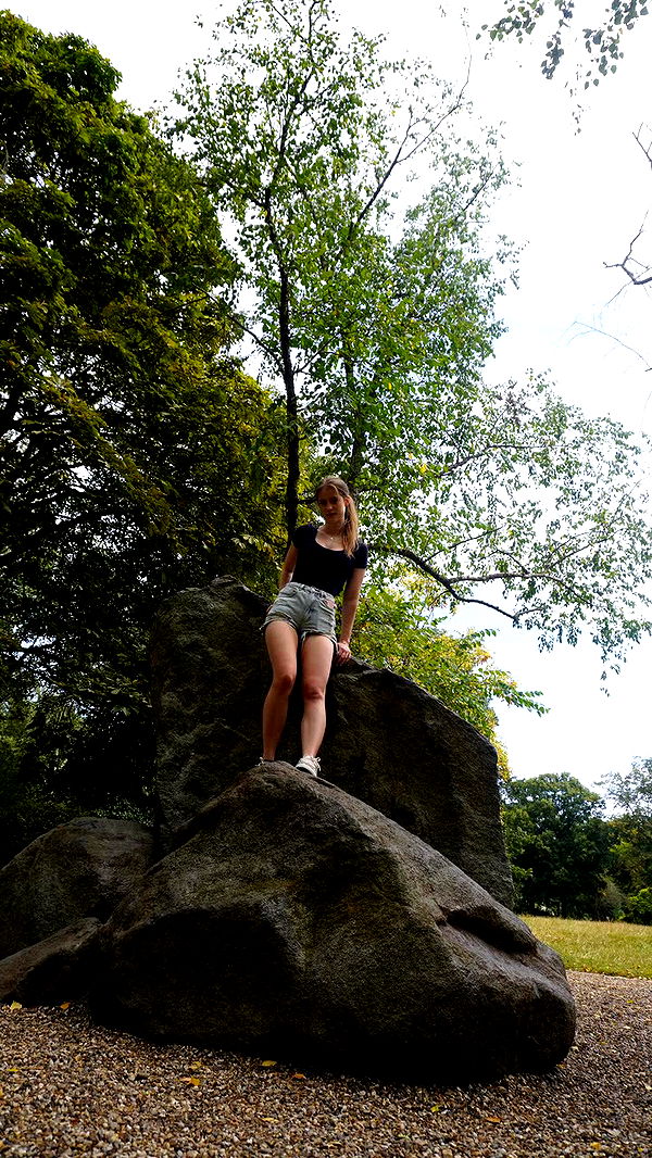 mira.0004 image ~ Altpins