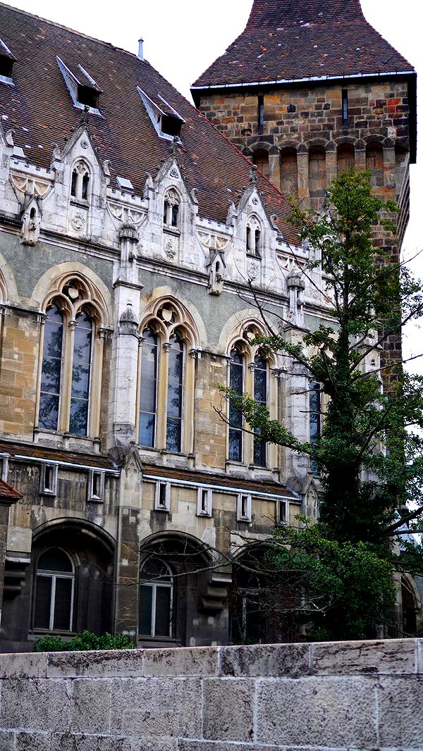 mira.0004 image ~ Altpins