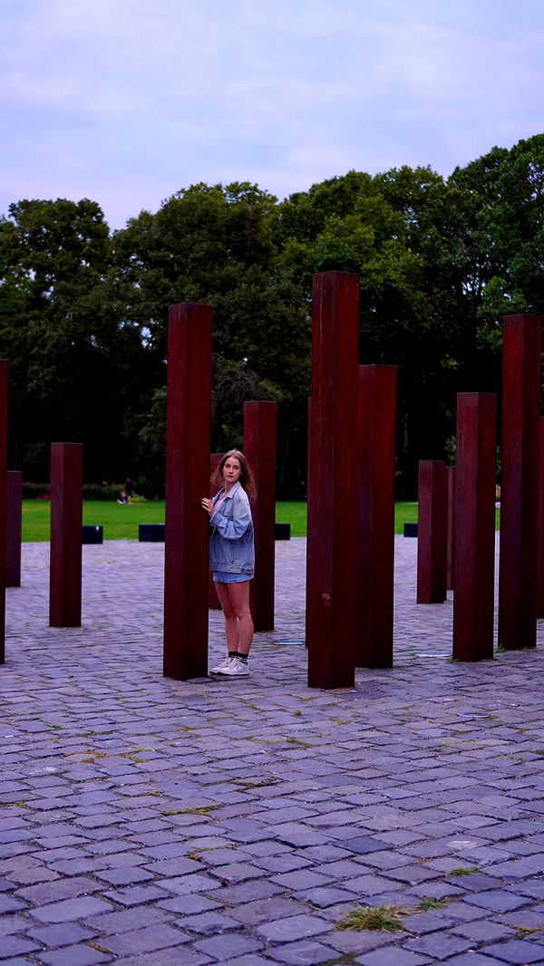 mira.0004 image ~ Altpins