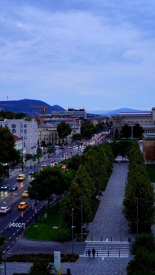 mira.0004 image ~ Altpins