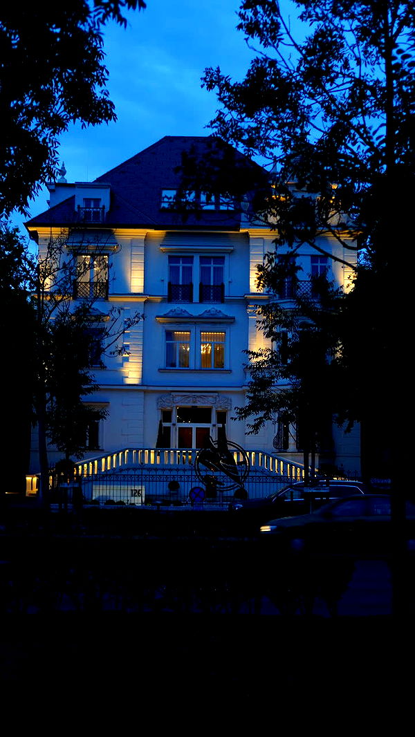 mira.0004 image ~ Altpins