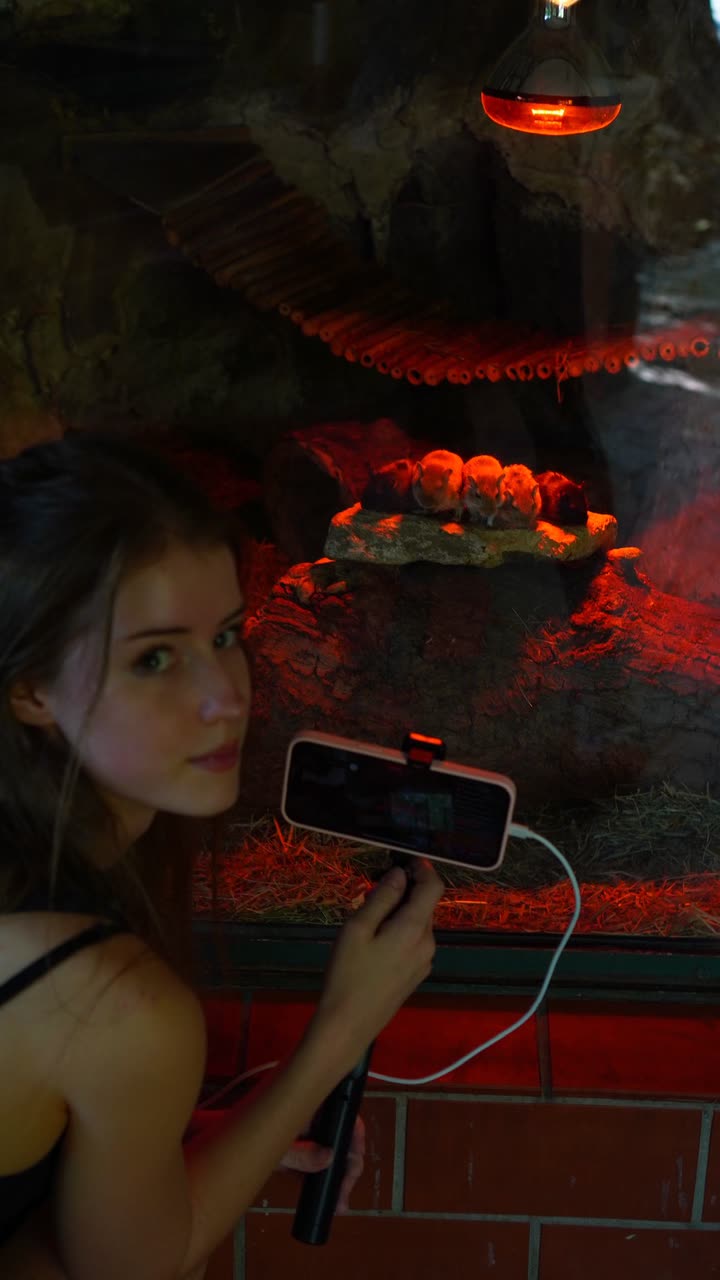 mira.0004 snapchat image archive image