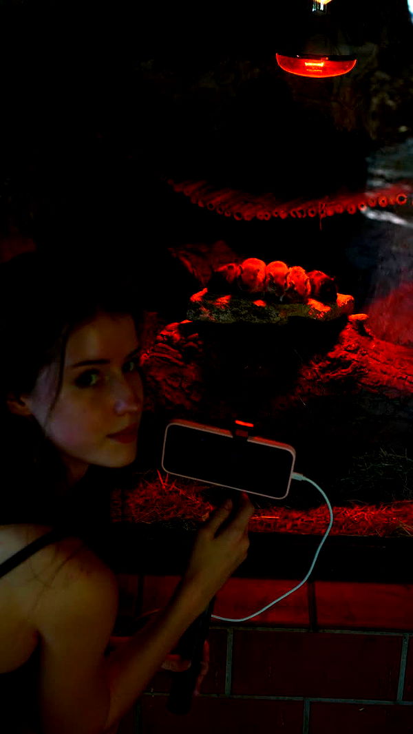 mira.0004 image ~ Altpins