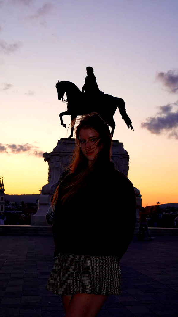 mira.0004 image ~ Altpins