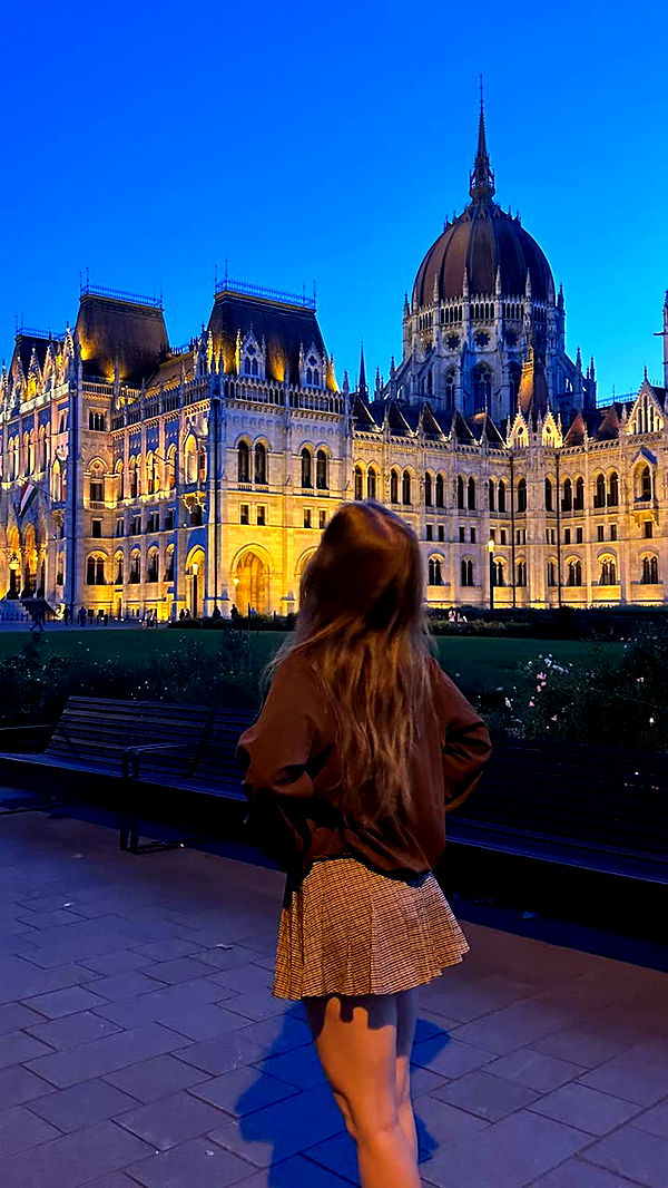 mira.0004 image ~ Altpins