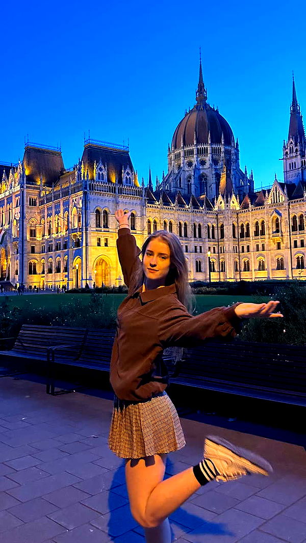 mira.0004 image ~ Altpins