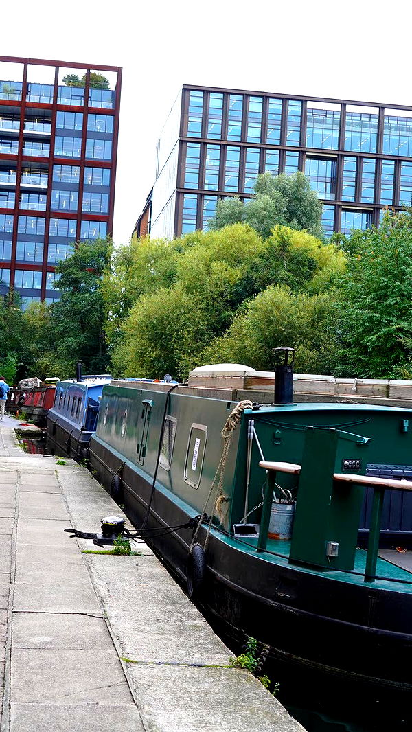 mira.0004 image ~ Altpins