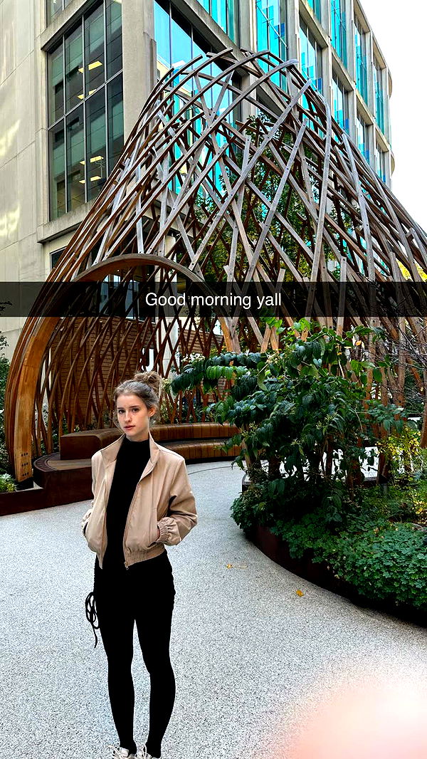 mira.0004 image ~ Altpins