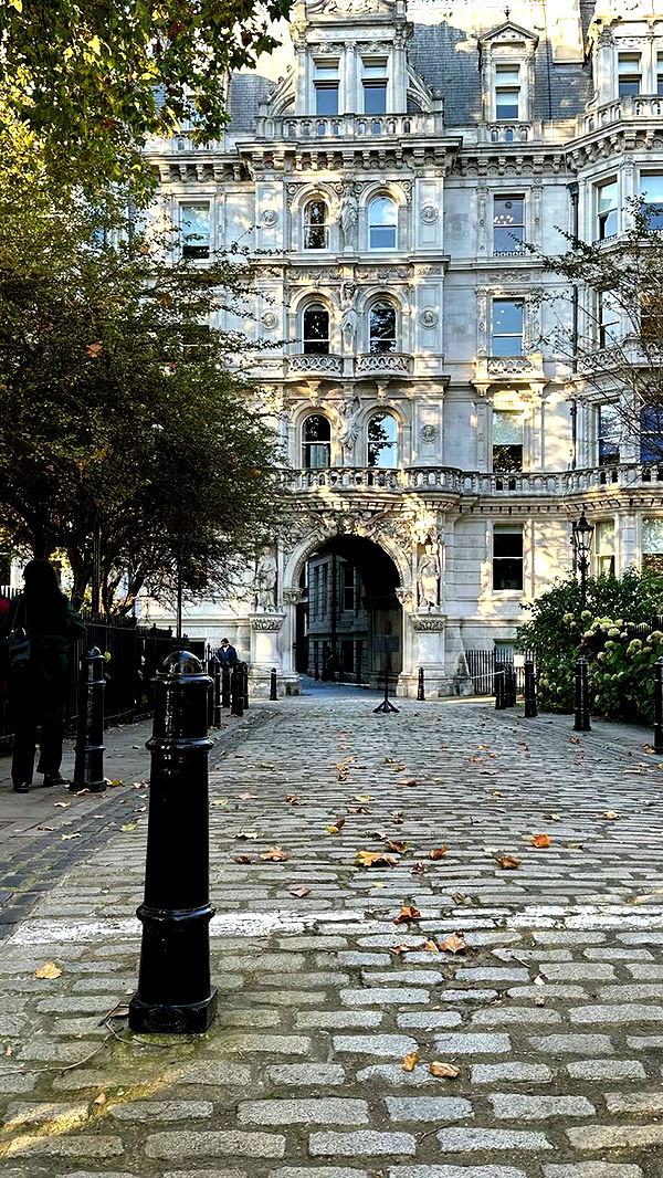 mira.0004 image ~ Altpins