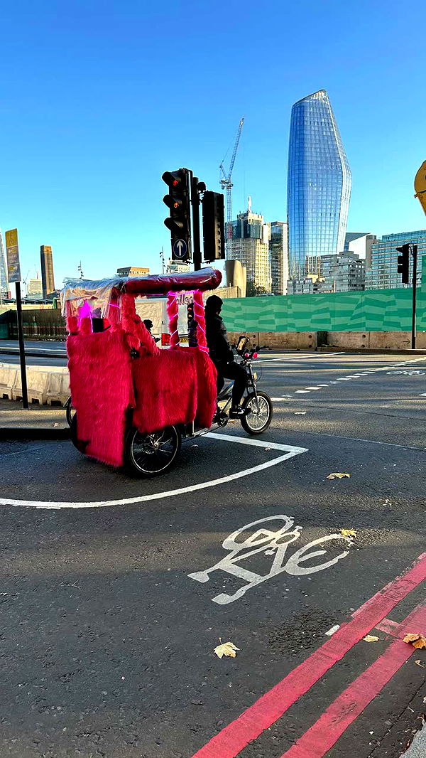 mira.0004 image ~ Altpins