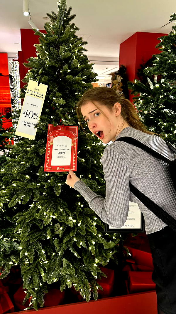 mira.0004 image ~ Altpins