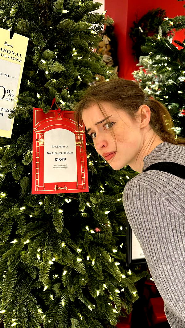 mira.0004 image ~ Altpins