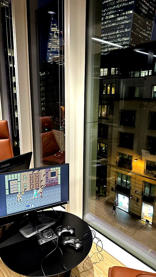 mira.0004 image ~ Altpins