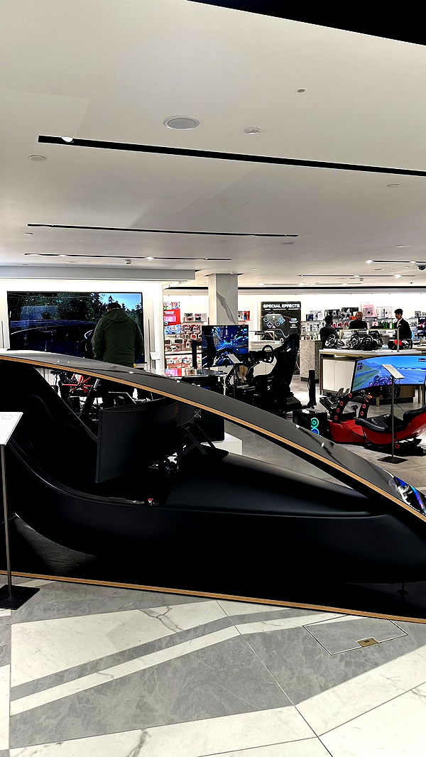 mira.0004 image ~ Altpins