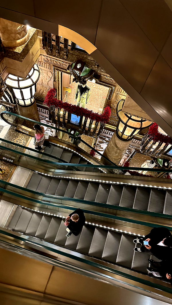 mira.0004 image ~ Altpins