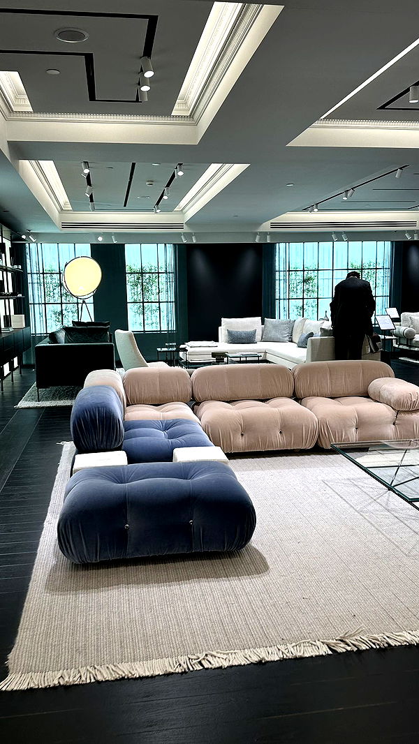 mira.0004 image ~ Altpins