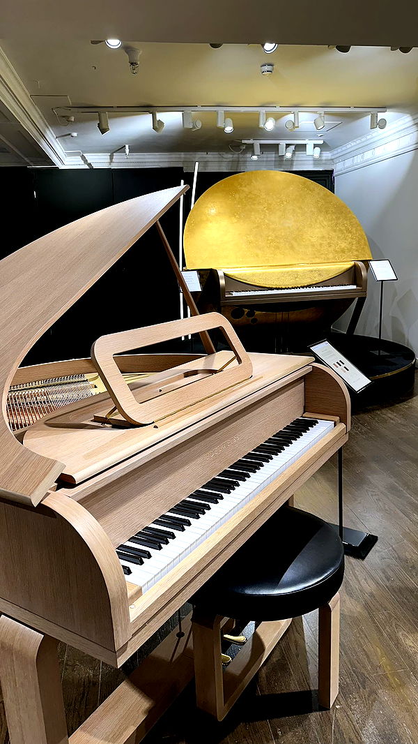 mira.0004 image ~ Altpins