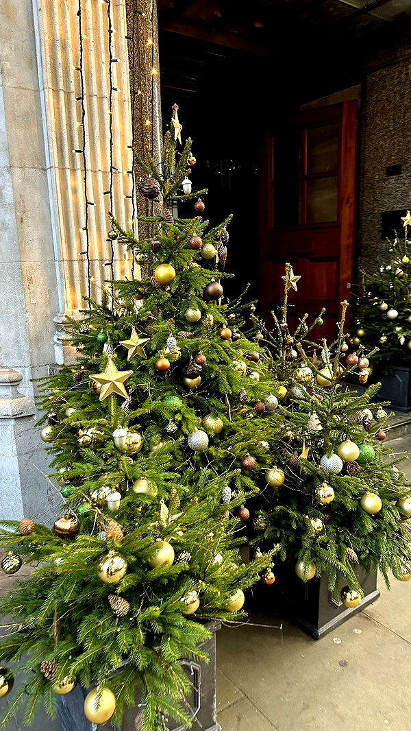 mira.0004 image ~ Altpins