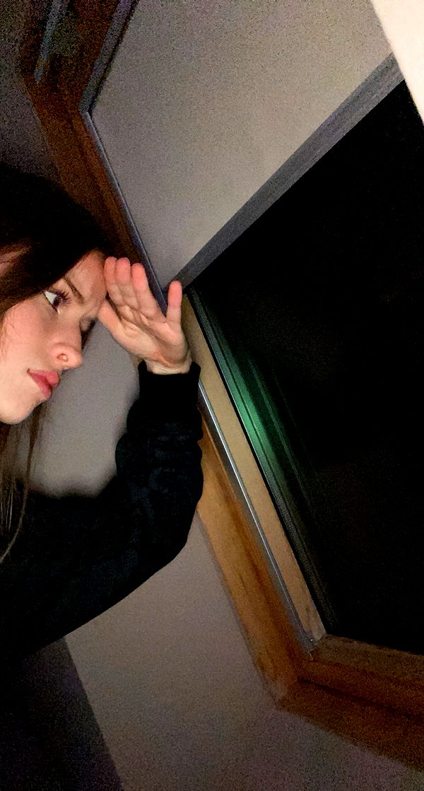 mira.0004 image ~ Altpins