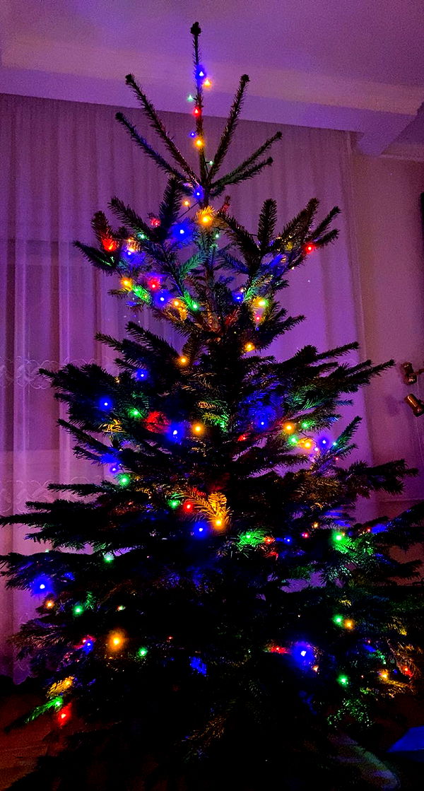 mira.0004 image ~ Altpins