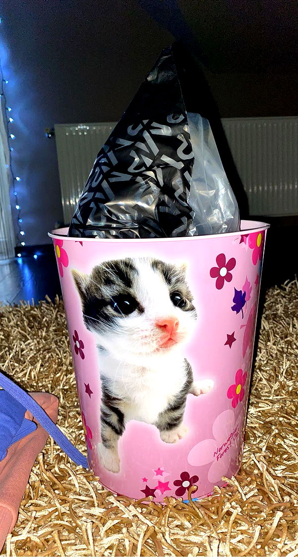 mira.0004 image ~ Altpins