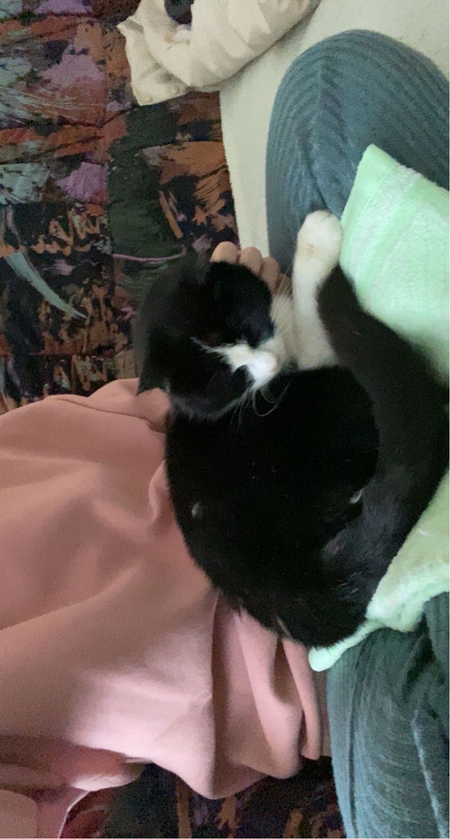 mira.0004 snapchat image archive image