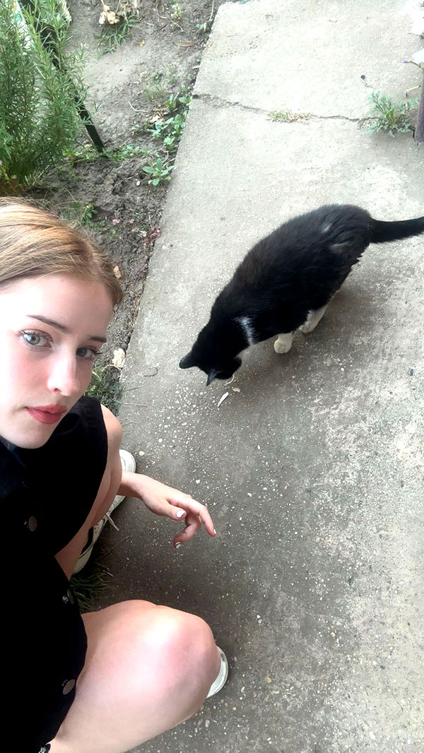 mira.0004 image ~ Altpins