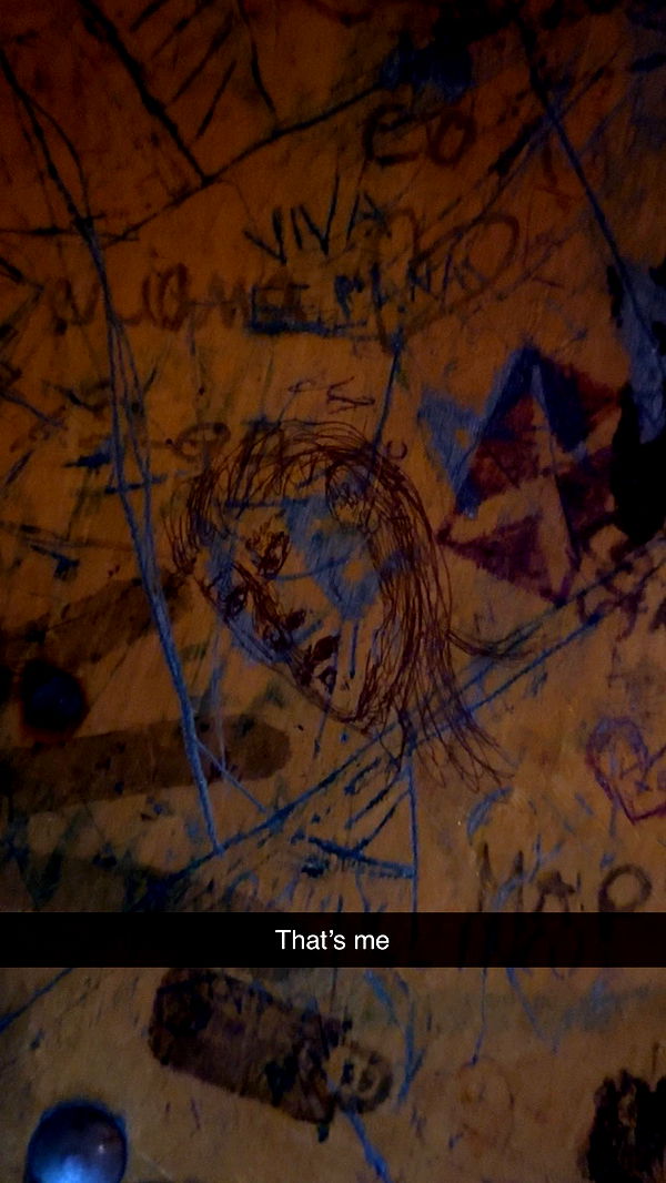 mira.0004 image ~ Altpins