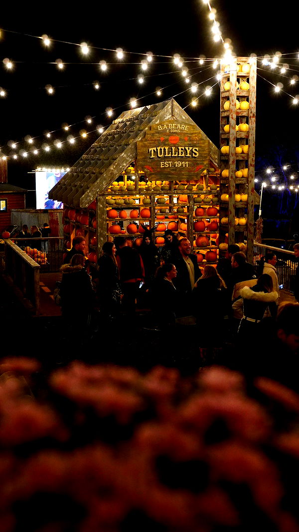 mira.0004 image ~ Altpins