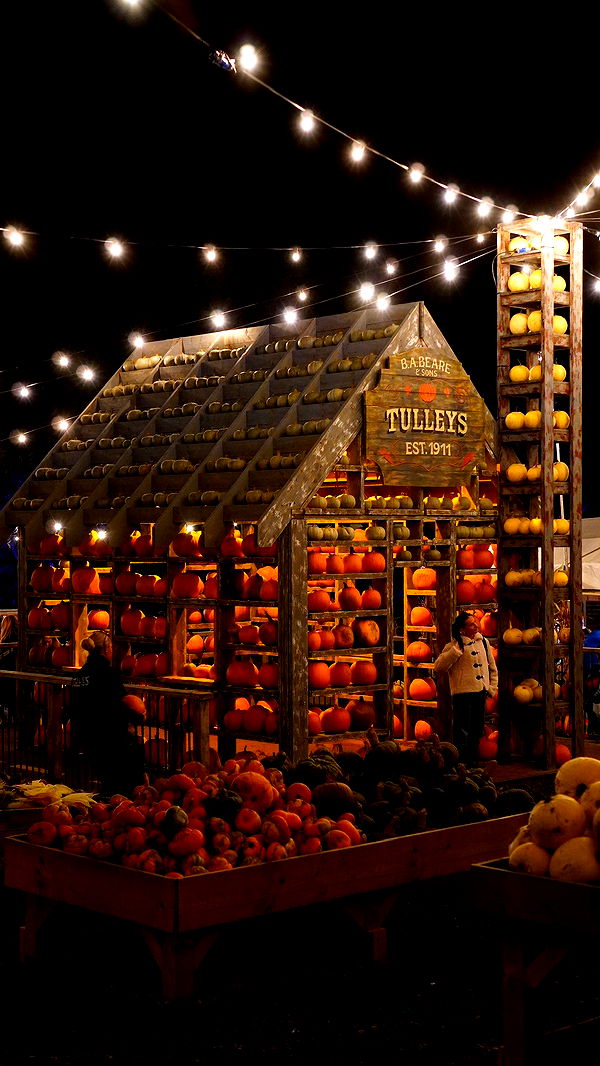 mira.0004 image ~ Altpins