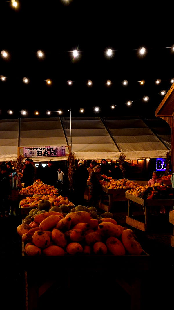 mira.0004 image ~ Altpins