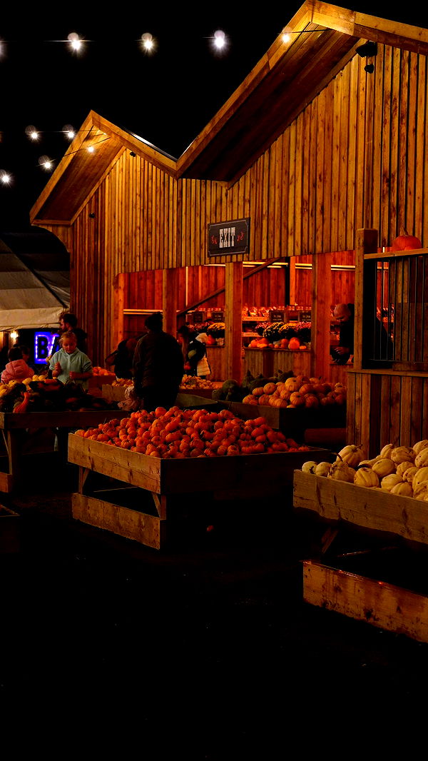 mira.0004 image ~ Altpins