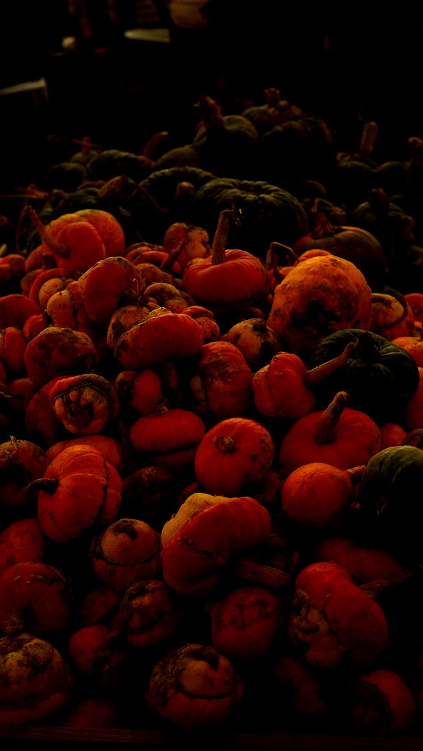 mira.0004 image ~ Altpins