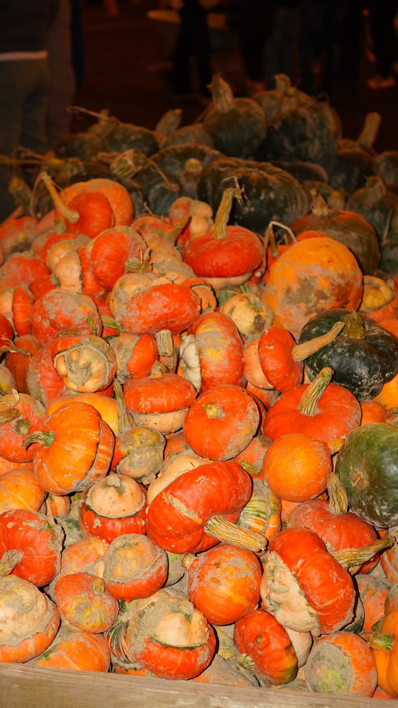 mira.0004 snapchat image archive image