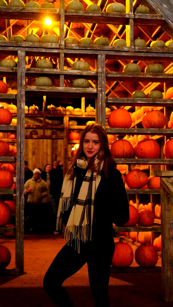 mira.0004 image ~ Altpins