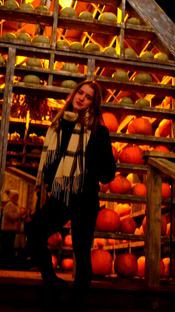 mira.0004 image ~ Altpins