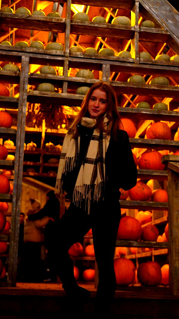 mira.0004 image ~ Altpins