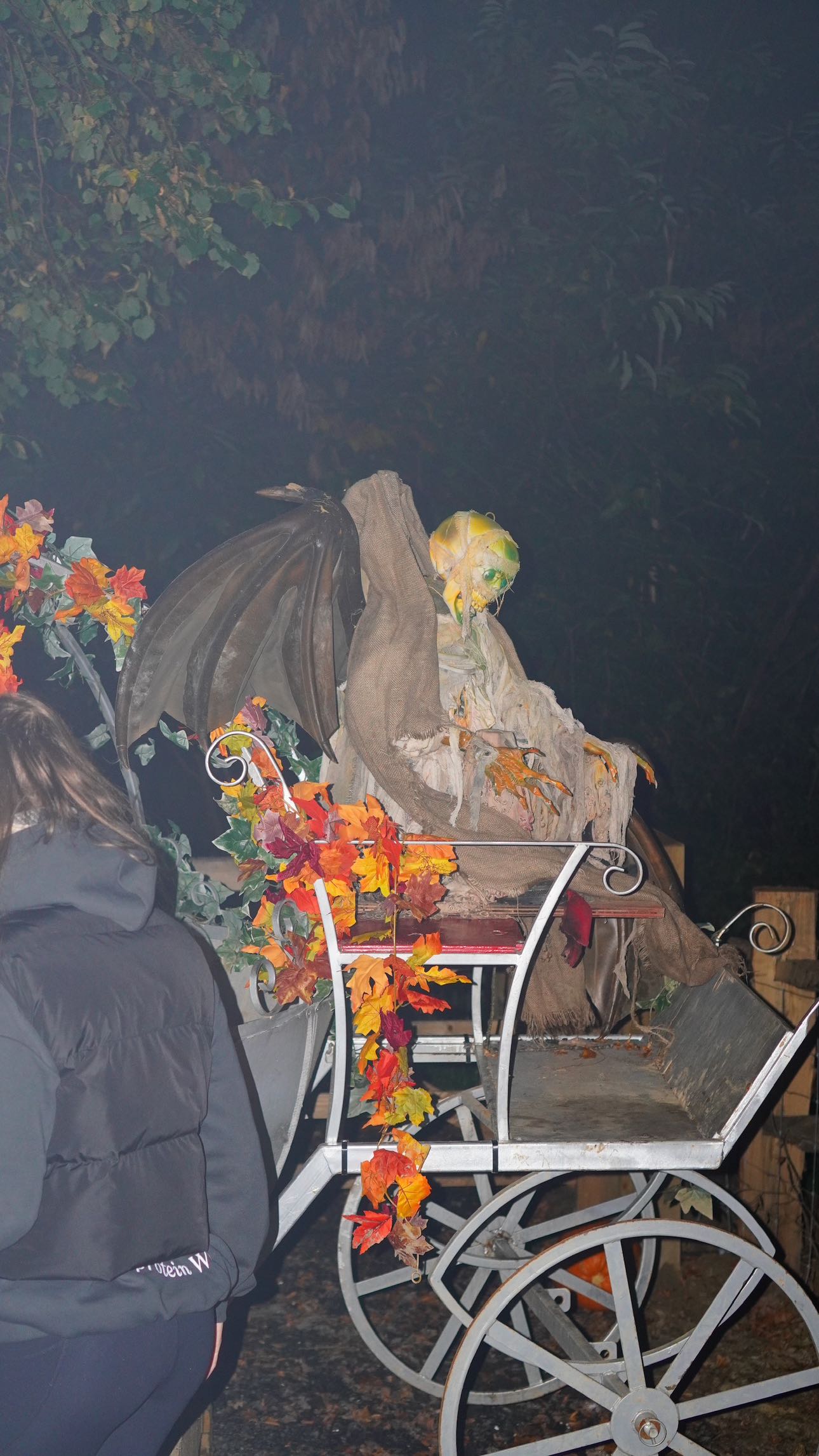 mira.0004 snapchat image archive image